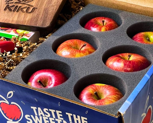 Kiku branded apple influencer kits for apple samples and media influencer purposes