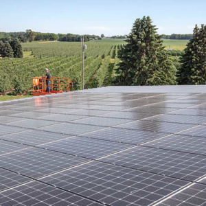 Applewood Orchards solar panels on Michigan apple packing facility.