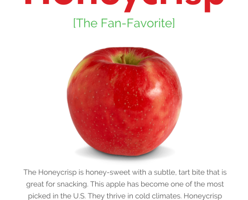 Honeycrisp Apples Information Sheet