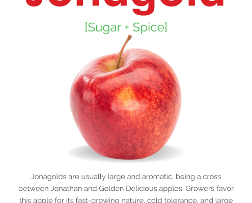 Jonagold Apple Information Sheet