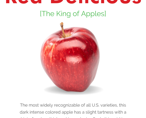 Red Delicious Apple Information Sheet