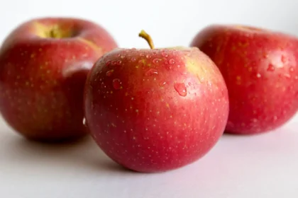 EverCrisp Studio Trio