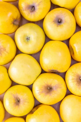 JHM_OpalApples_AppleBaconCrostini-1