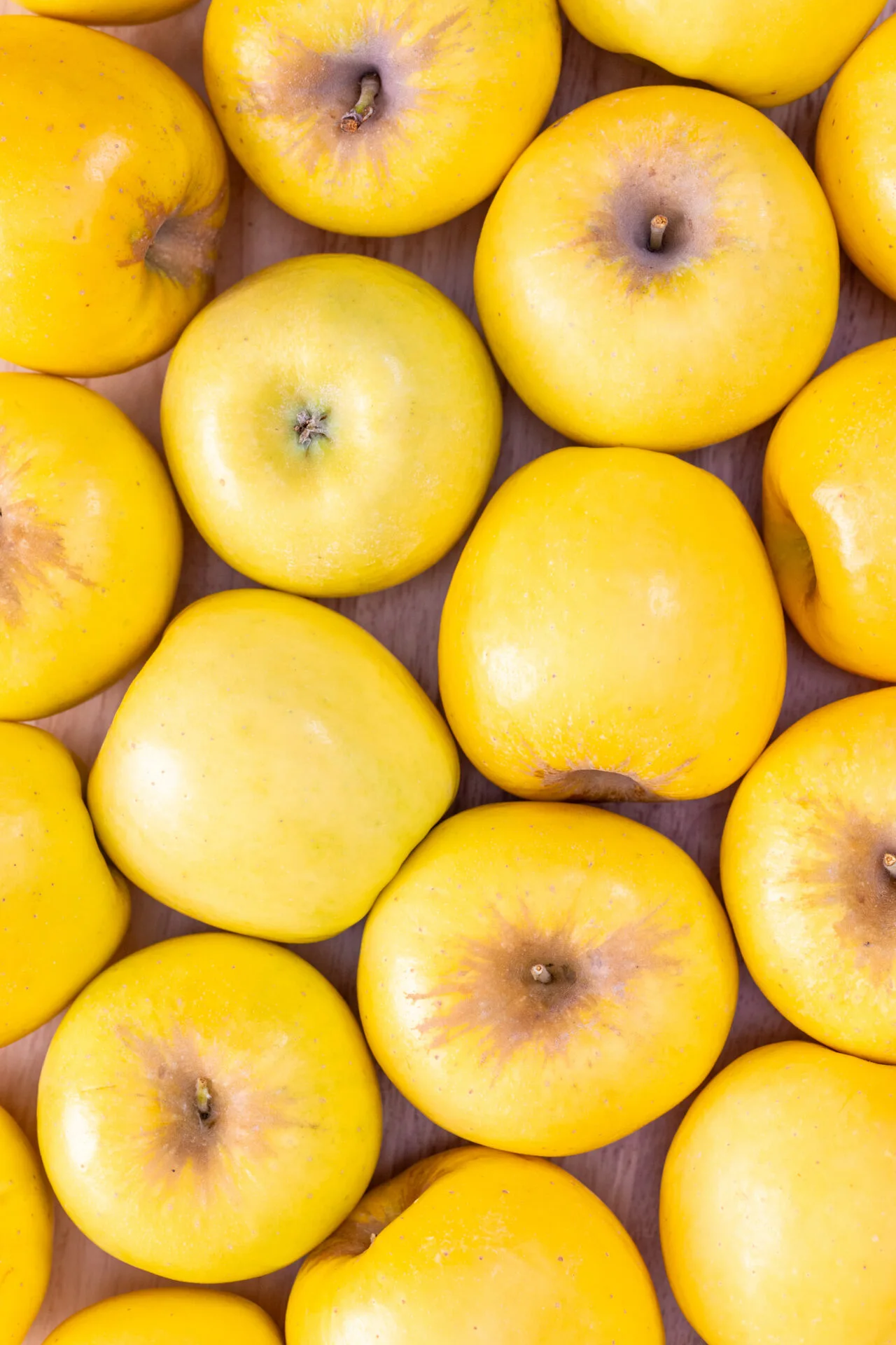 JHM_OpalApples_AppleBaconCrostini-1