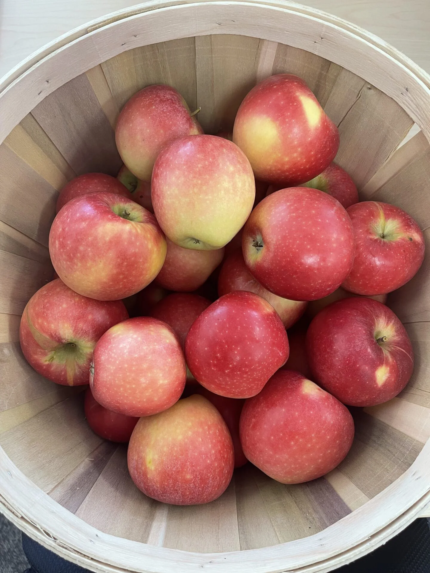 Kanzi Apples_Bushel