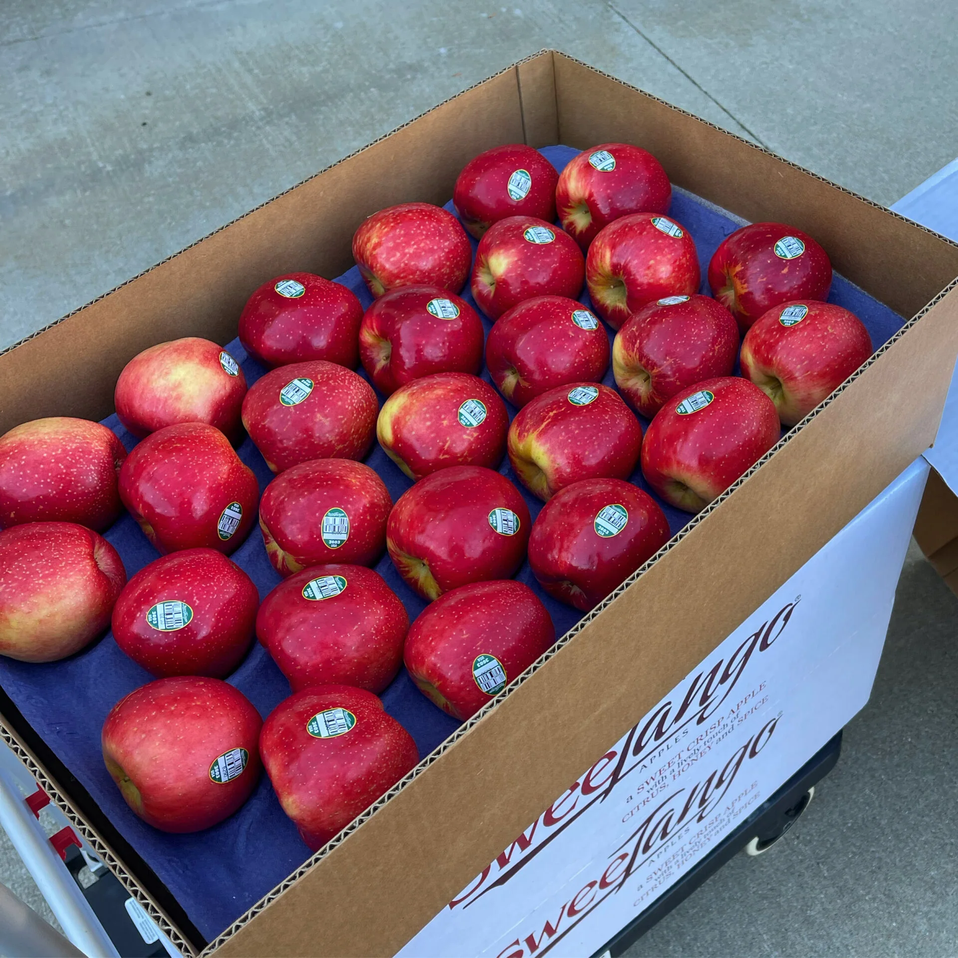 SweeTango_Euro Boxes