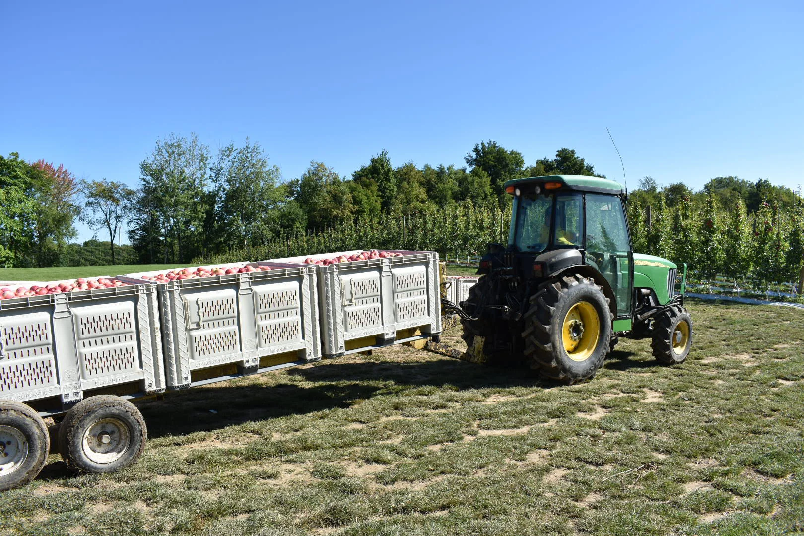 Local & Regional Supply Chains